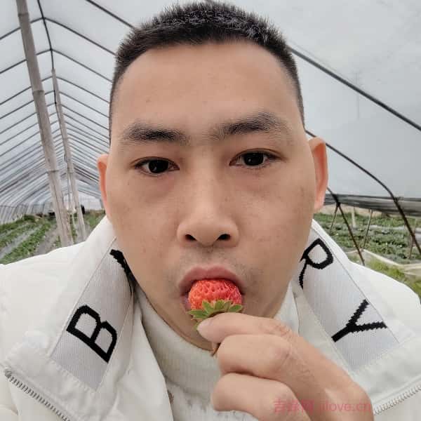 大同征婚相亲网