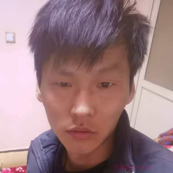 大同征婚相亲网